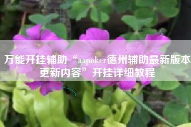 万能开挂辅助“aapoker德州辅助最新版本更新内容”开挂详细教程