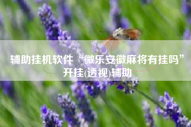 辅助挂机软件“微乐安徽麻将有挂吗”开挂(透视)辅助