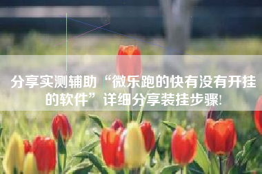 分享实测辅助“微乐跑的快有没有开挂的软件	”详细分享装挂步骤!