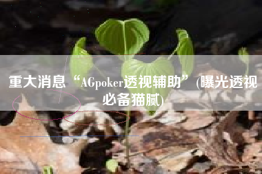 重大消息“AGpoker透视辅助”(曝光透视必备猫腻)