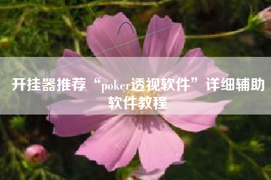 开挂器推荐“poker透视软件	”详细辅助软件教程