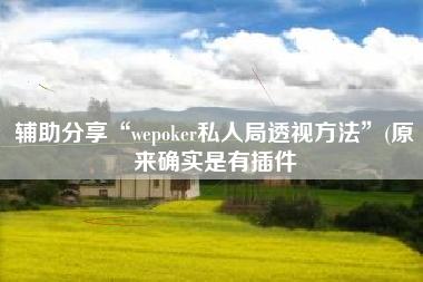辅助分享“wepoker私人局透视方法	”(原来确实是有插件