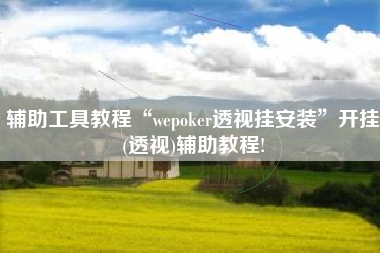 辅助工具教程“wepoker透视挂安装”开挂(透视)辅助教程!