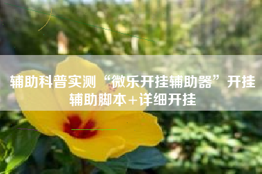 辅助科普实测“微乐开挂辅助器	”开挂辅助脚本+详细开挂