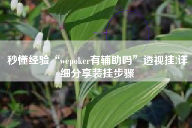 秒懂经验“wepoker有辅助吗	”透视挂!详细分享装挂步骤