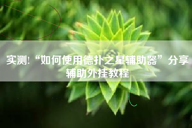 实测!“如何使用德扑之星辅助器”分享辅助外挂教程