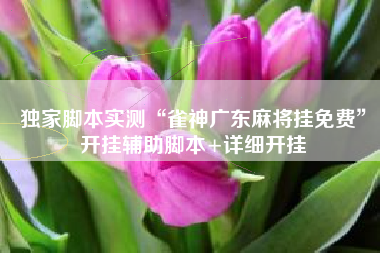 独家脚本实测“雀神广东麻将挂免费	”开挂辅助脚本+详细开挂