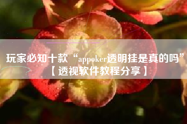 玩家必知十款“appoker透明挂是真的吗	”【透视软件教程分享】
