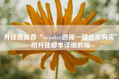 开挂器推荐“wepoker透视一键透视购买	”附开挂脚本详细教程