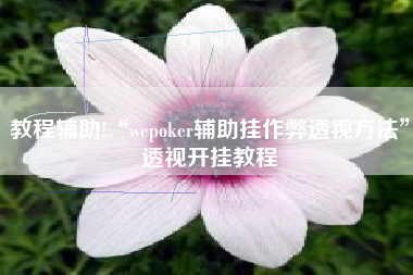 教程辅助!“wepoker辅助挂作弊透视方法”透视开挂教程