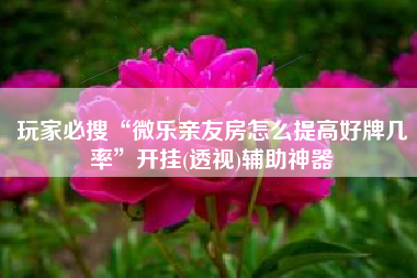 玩家必搜“微乐亲友房怎么提高好牌几率”开挂(透视)辅助神器