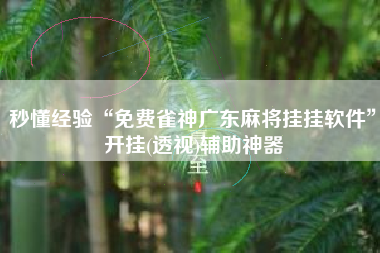 秒懂经验“免费雀神广东麻将挂挂软件	”开挂(透视)辅助神器