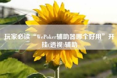 玩家必读“WePoker辅助器哪个好用	”开挂(透视)辅助