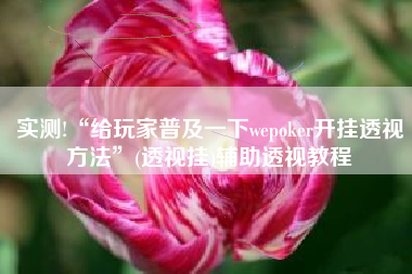 实测!“给玩家普及一下wepoker开挂透视方法”(透视挂)辅助透视教程