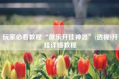 玩家必看教程“微乐开挂神器”(透视)开挂详细教程