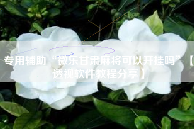 专用辅助“微乐甘肃麻将可以开挂吗”【透视软件教程分享】