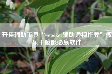 开挂辅助工具“wepoker辅助透视作弊	”微乐干瞪眼必赢软件