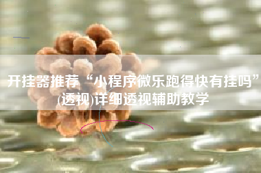 开挂器推荐“小程序微乐跑得快有挂吗”(透视)详细透视辅助教学