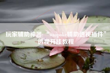 玩家辅助神器:“waapoke辅助透视插件	”透视开挂教程