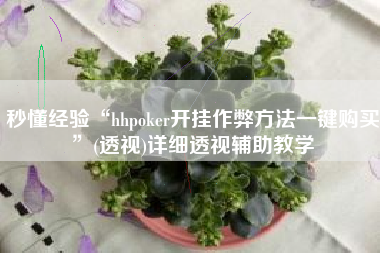 秒懂经验“hhpoker开挂作弊方法一键购买”(透视)详细透视辅助教学