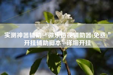 实测神器辅助“微乐透视辅助器(免费)”开挂辅助脚本+详细开挂