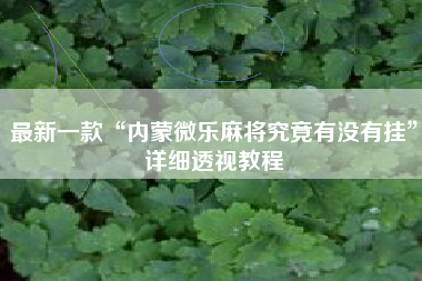 最新一款“内蒙微乐麻将究竟有没有挂	”详细透视教程