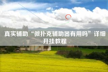 真实辅助“微扑克辅助器有用吗”详细开挂教程