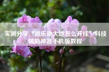 实测分享“微乐锄大地怎么开挂	”科技辅助神器手机版教程