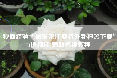 秒懂经验“微乐龙江麻将外卦神器下载	”(透视挂)辅助透视教程