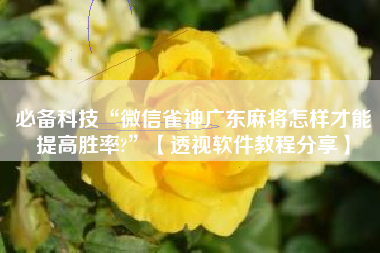 必备科技“微信雀神广东麻将怎样才能提高胜率?	”【透视软件教程分享】