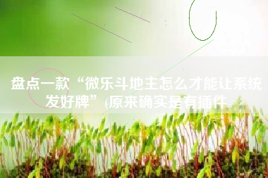 盘点一款“微乐斗地主怎么才能让系统发好牌”(原来确实是有插件