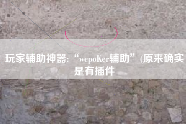 玩家辅助神器:“wepoKer辅助	”(原来确实是有插件