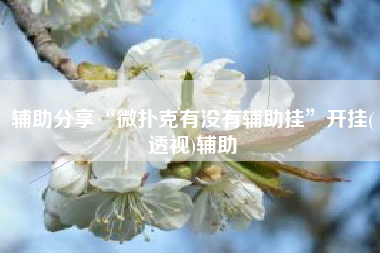 辅助分享“微扑克有没有辅助挂	”开挂(透视)辅助