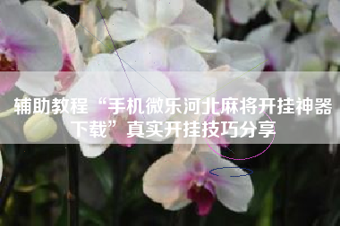 辅助教程“手机微乐河北麻将开挂神器下载”真实开挂技巧分享