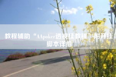 教程辅助“AApoker透视挂教程”附开挂脚本详细