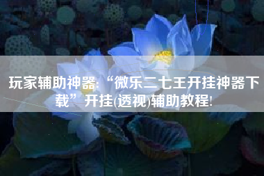 玩家辅助神器:“微乐二七王开挂神器下载”开挂(透视)辅助教程!