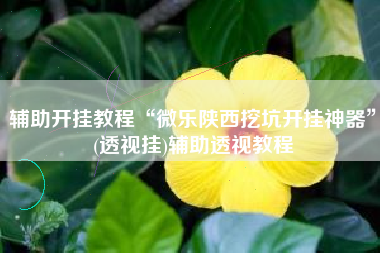 辅助开挂教程“微乐陕西挖坑开挂神器”(透视挂)辅助透视教程