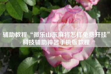 辅助教程“微乐山东麻将怎样免费开挂”科技辅助神器手机版教程