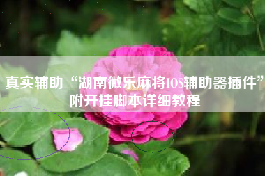 真实辅助“湖南微乐麻将IOS辅助器插件”附开挂脚本详细教程