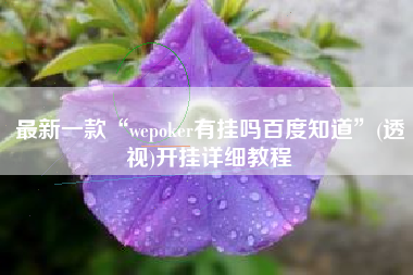 最新一款“wepoker有挂吗百度知道”(透视)开挂详细教程