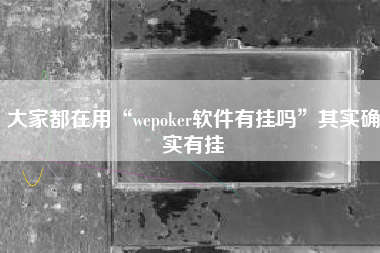 大家都在用“wepoker软件有挂吗	”其实确实有挂