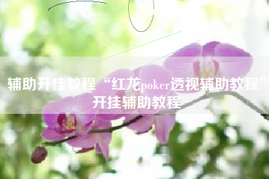 辅助开挂教程“红龙poker透视辅助教程	”开挂辅助教程