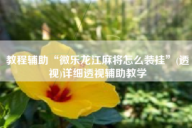 教程辅助“微乐龙江麻将怎么装挂	”(透视)详细透视辅助教学
