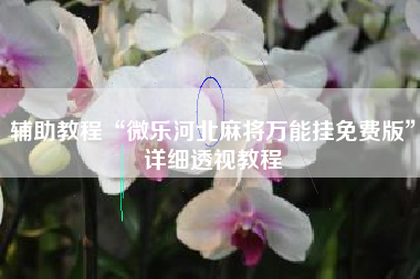 辅助教程“微乐河北麻将万能挂免费版”详细透视教程