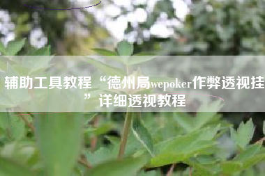 辅助工具教程“德州局wepoker作弊透视挂	”详细透视教程