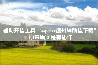 辅助开挂工具“aapoker德州辅助挂下载”(原来确实是有插件