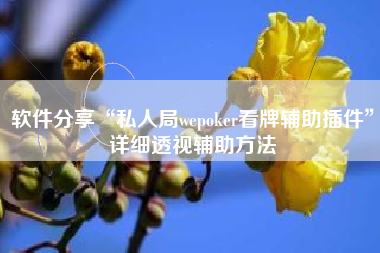 软件分享“私人局wepoker看牌辅助插件	”详细透视辅助方法