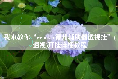 我来教你“wepoker德州辅助器透视挂”(透视)开挂详细教程