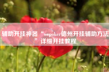 辅助开挂神器“wepoker德州开挂辅助方法”详细开挂教程