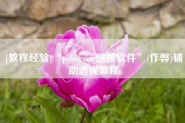 [教程经验]“pokernow透视软件”(作弊)辅助透视教程